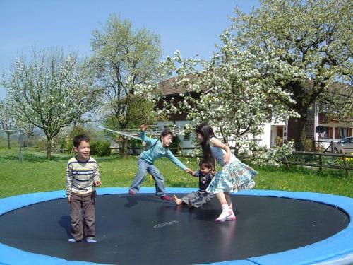 Trampolin