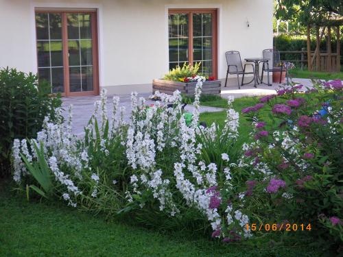 Süd-Ostterrasse Fewo "Watzmann"