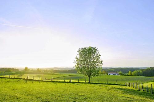 umgebung_aussicht_berndlhof_090