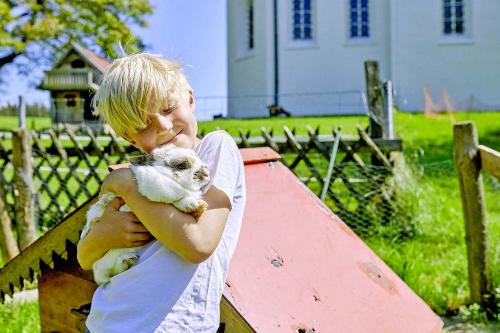 tiere_hasen_berndlhof_571