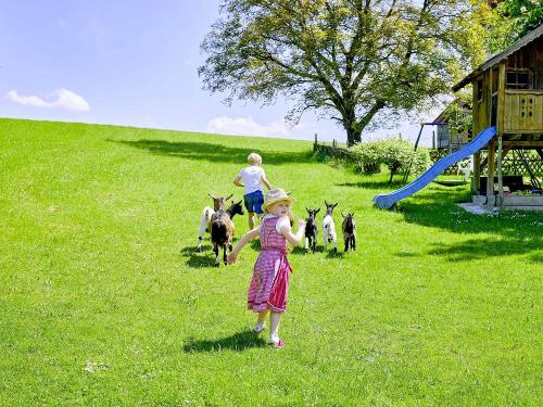 tiere_ziegen_berndlhof_614