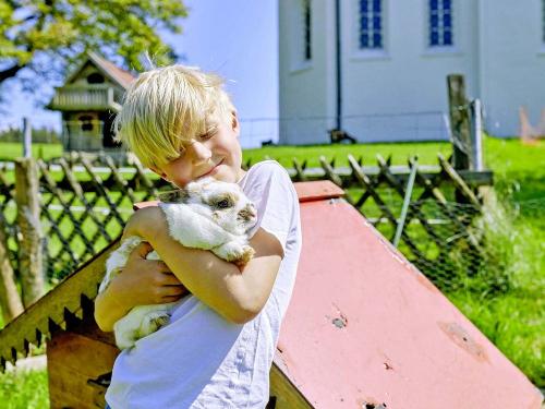 tiere_hasen_berndlhof_571