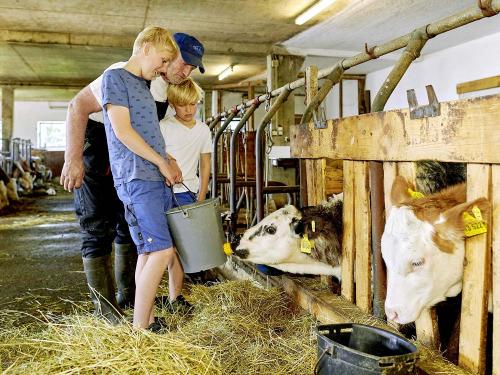 kaelbchen_fuettern_berndlhof_332