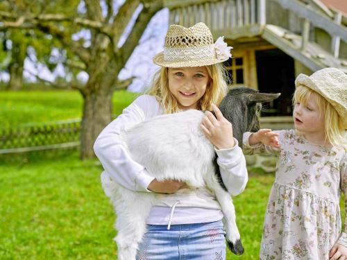 tiere_ziegen_berndlhof_545