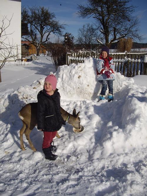 familienfotosbisdezember2010-2002