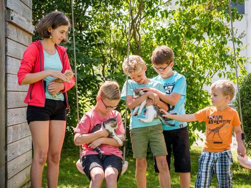 Kazten, Katzen, Katzen