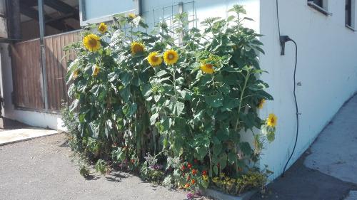 img-20200211-wa0026