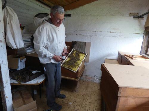 Bienenhaus