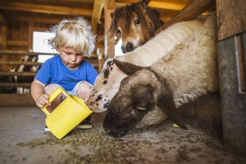 Füttern im Kleintierhaus