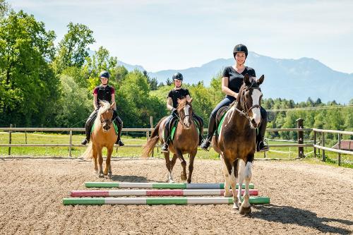 Reiten am Moierhof