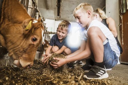 Mithilfe in der aktiven Landwirtschaft