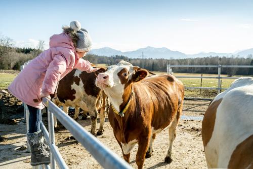 aktive Landwirtschaft erleben