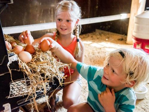 web_huberhof_niesgau_0819-5176