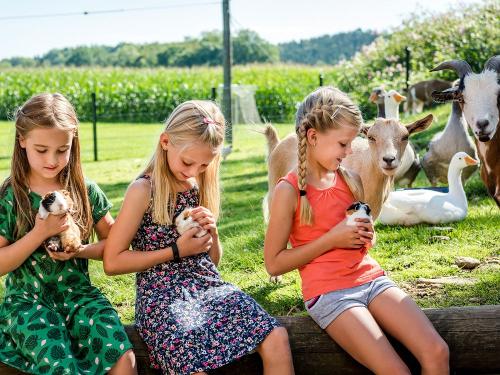 web_huberhof_niesgau_0819-5020