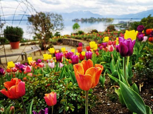 Chiemsee-Rundweg mit Fraueninsel