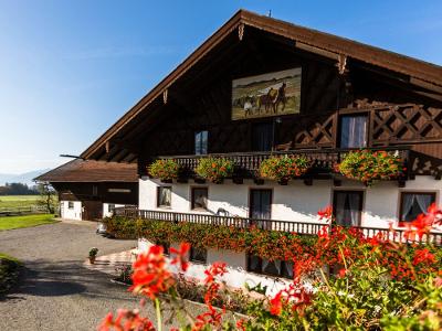 1- OG zimmer 3,2,1 und Wohnung 2 2 OG