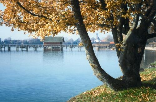 Spaziergang am Chiemsee