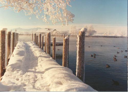 Wintertraum am Chiemsee Wintertraum am Chiemsee