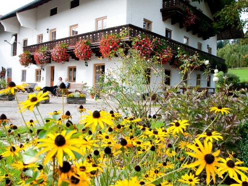 Haubild vom Garten Haubild vom Garten