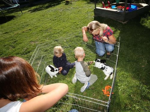 Im Garten mit Kleintieren