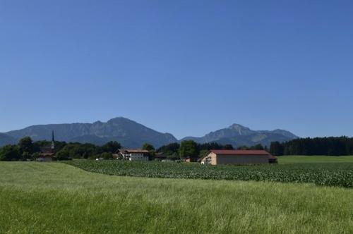 Grüne Wiesen rundherum