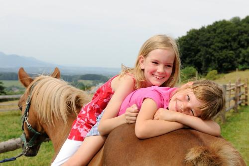 Pferdefreundschaft am Daxlberger Hof