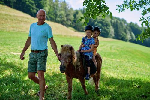 Geführtes Ponyreiten