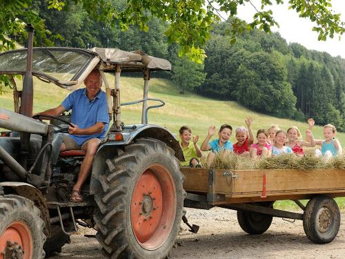 Heuernte am Daxlberger Hof