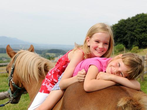 Pferdefreundschaft am Daxlberger Hof