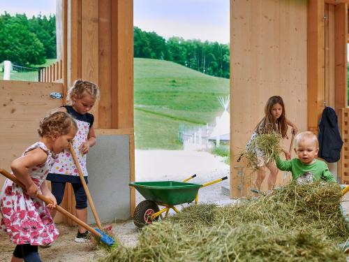 Mithilfe bei der Stallarbeit