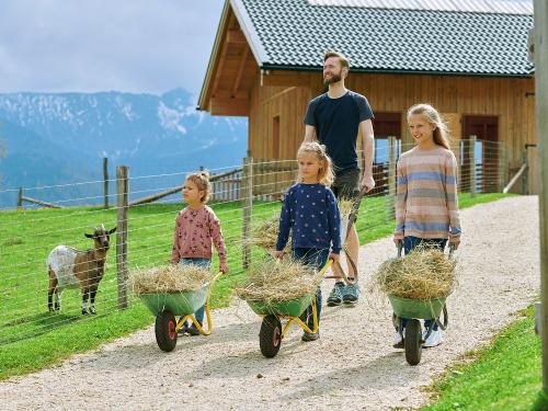 Heu für die Tiere holen