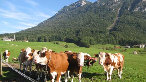 2010herbst036