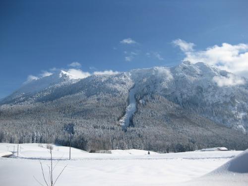 winter09009