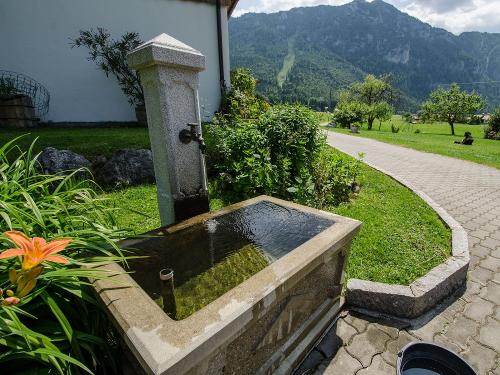 Der Sterrhof im Sommer