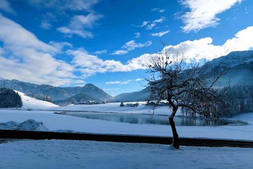 Froschsee im Winter