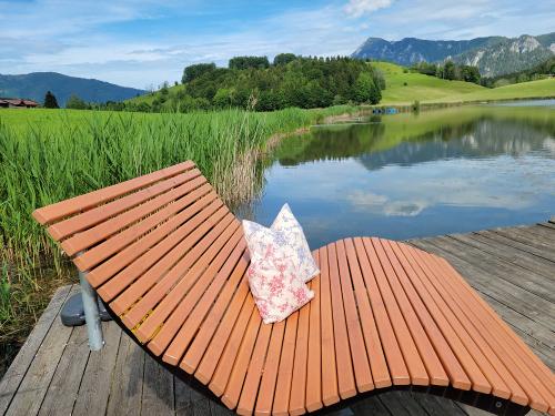 unsereliegeamfroschsee