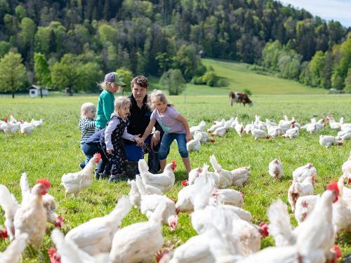 Grossrachlhof_Grassau_04_2024_Huehner_Kinder_10