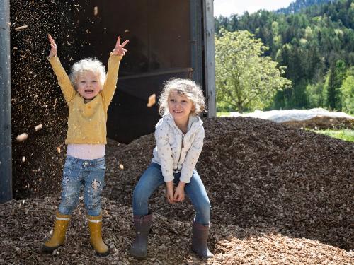 Grossrachlhof_Grassau_04_2024_Holzhaeckseln_14