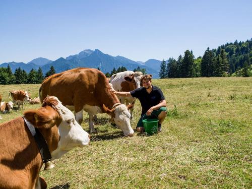 Grossrachlhof_Grossrachl_1_Grassau_Jakob_Alm_5