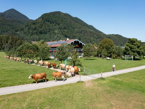 Grossrachlhof_Grossrachl_1_Grassau_Haus_Drohne_6