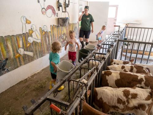 Grossrachlhof_Grossrachl_1_Grassau_Stall_20