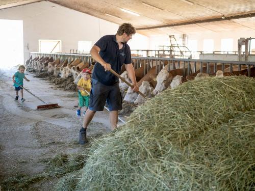 Grossrachlhof_Grossrachl_1_Grassau_Stall_10