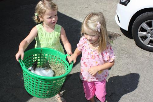 kindr hase2 kindr hase2