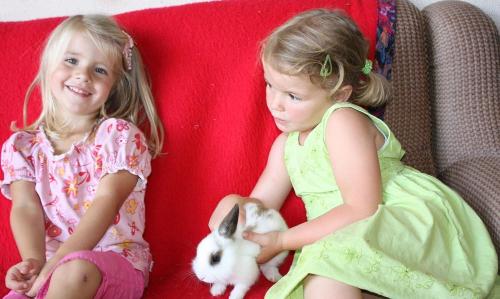 kinder hase kinder hase