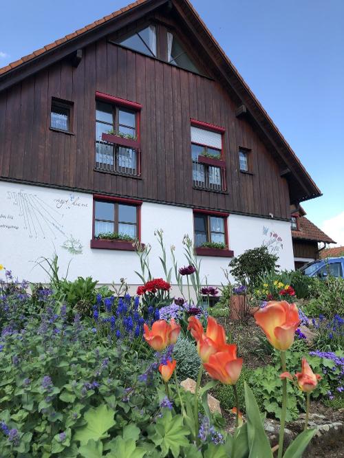 hausmitsonnenuhr