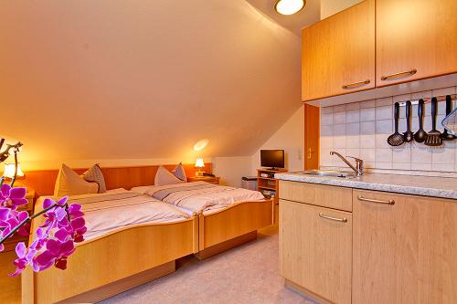 schwalbennest3