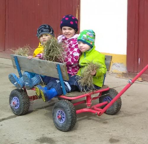 bollerwagen