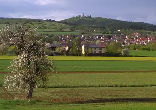 hofbild