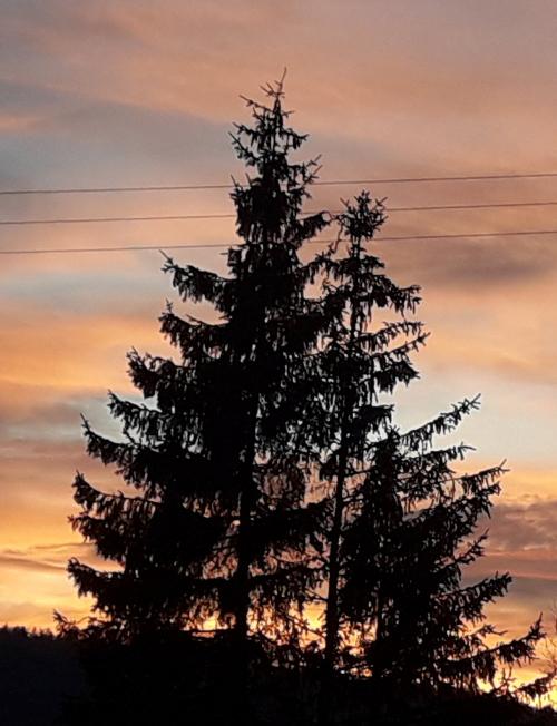 sonnenuntergang