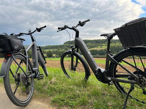 E-Bike zum Verleihen